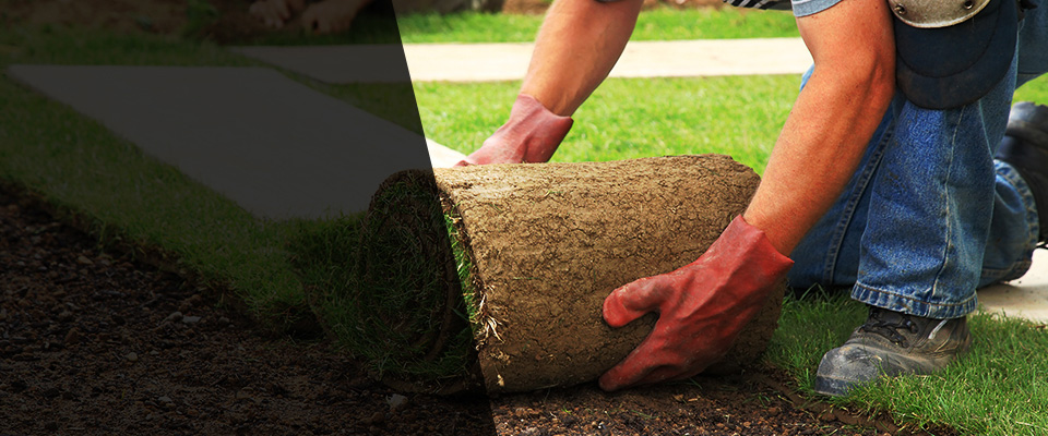 Pine Plains Landscapers